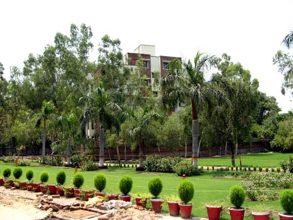 Girls Campus 2